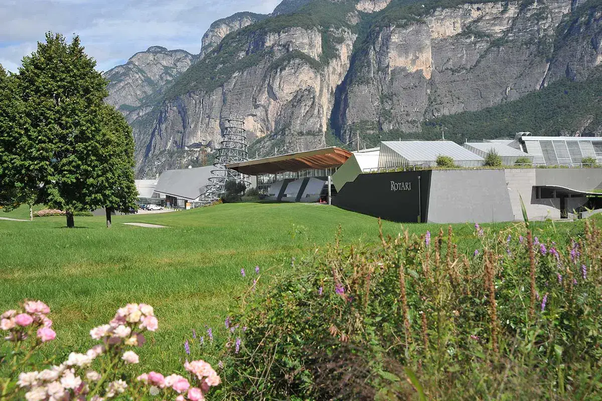 La cantina Rotari di Mezzacorona </strong><strong>m</strong>ezzacorona