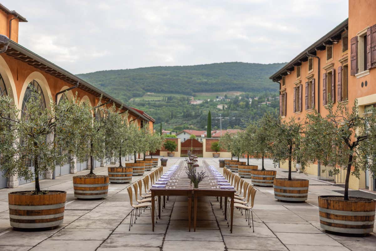 Cantina Bertani Vieni, vedi e vivi la Valpantena, a due passi da Verona