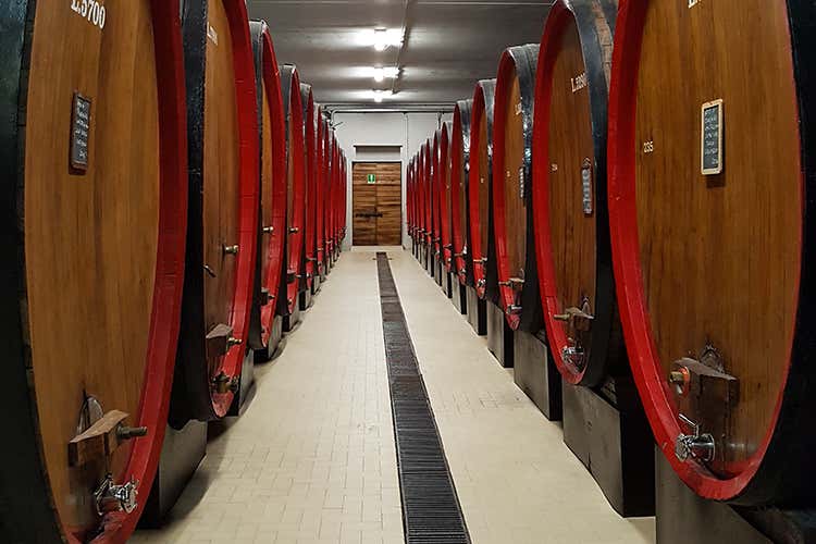 La Valtellina enologica va avanti Pietro Nera e Caven in prima fila