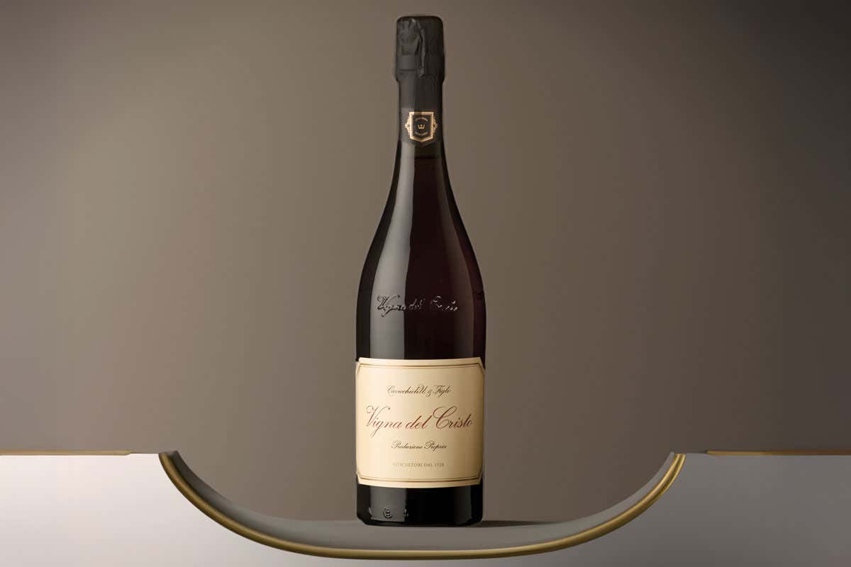 Cavicchioli: l'arte di ridefinire il Lambrusco, tra autenticità e territorio Cavicchioli: l'arte di ridefinire il Lambrusco, tra autenticità e territorio