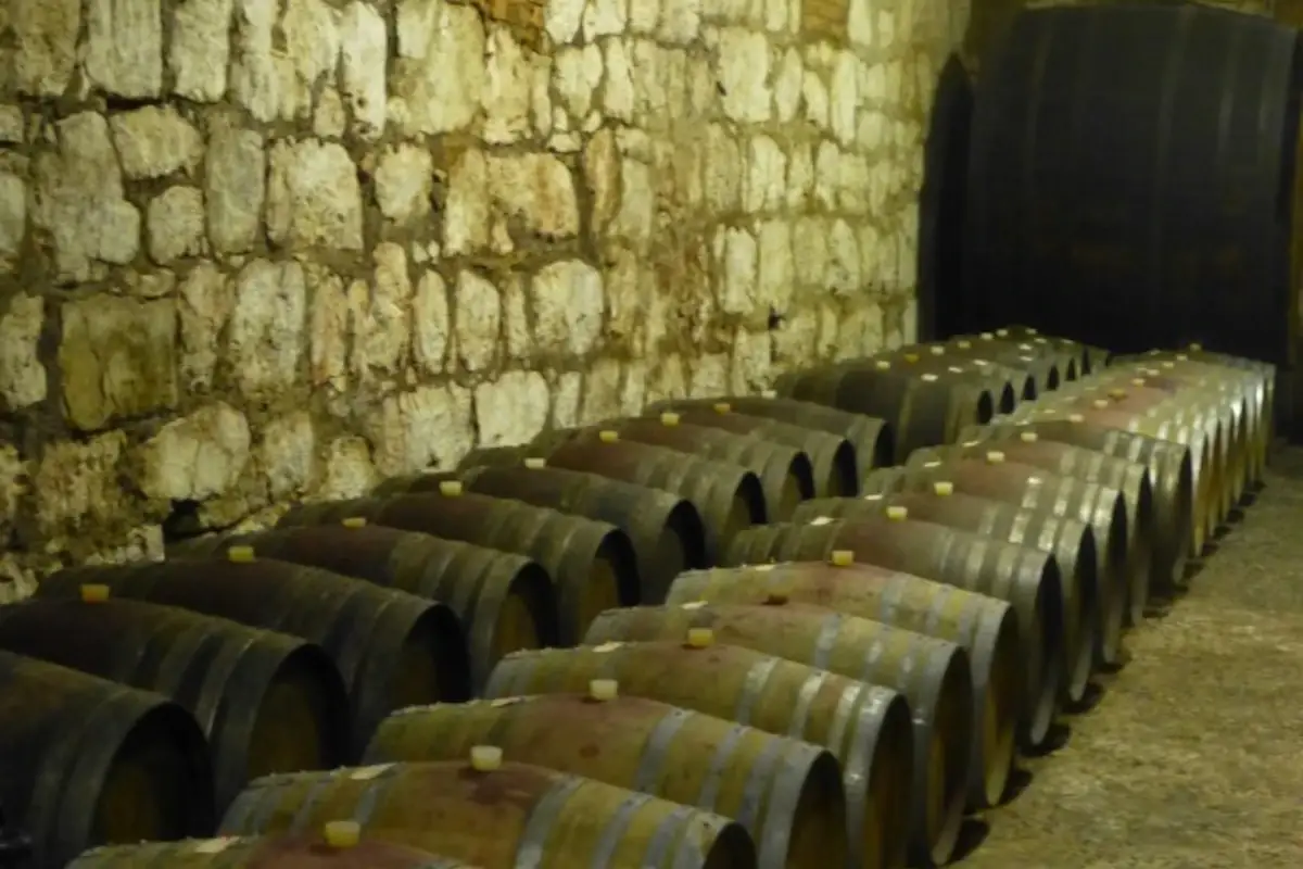 Cantina Marco Donati: da 160 anni punto di riferimento della tradizione enologica trentina