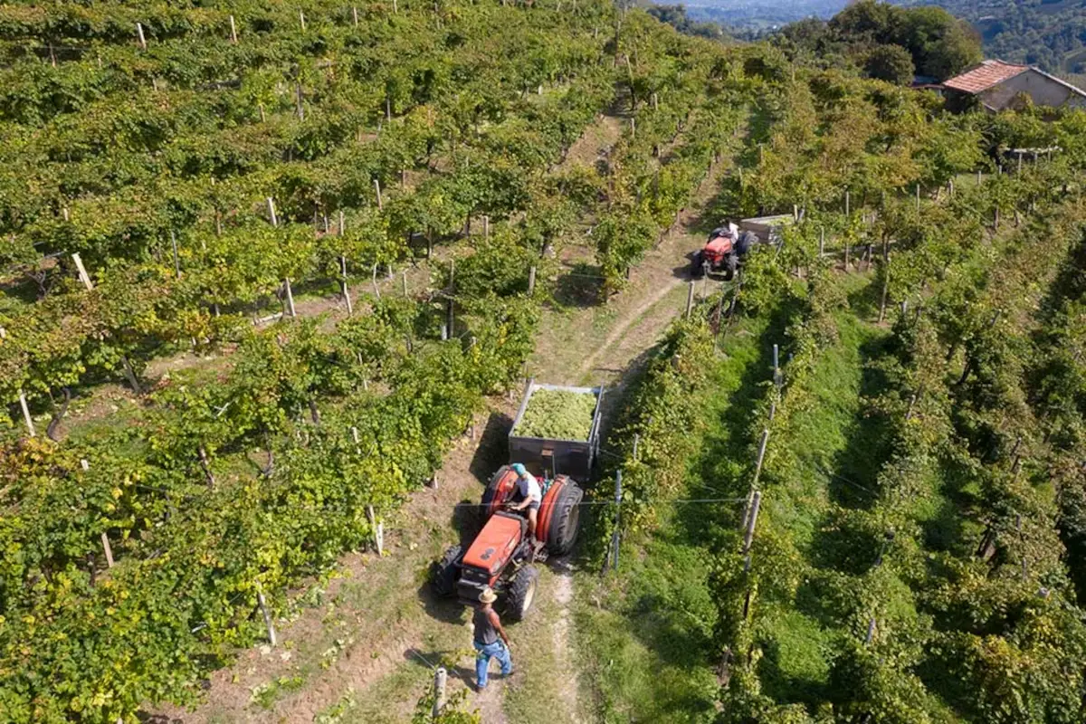 Fiocco rosa alla Tordera: prosit con il Prosecco Ros&eacute;