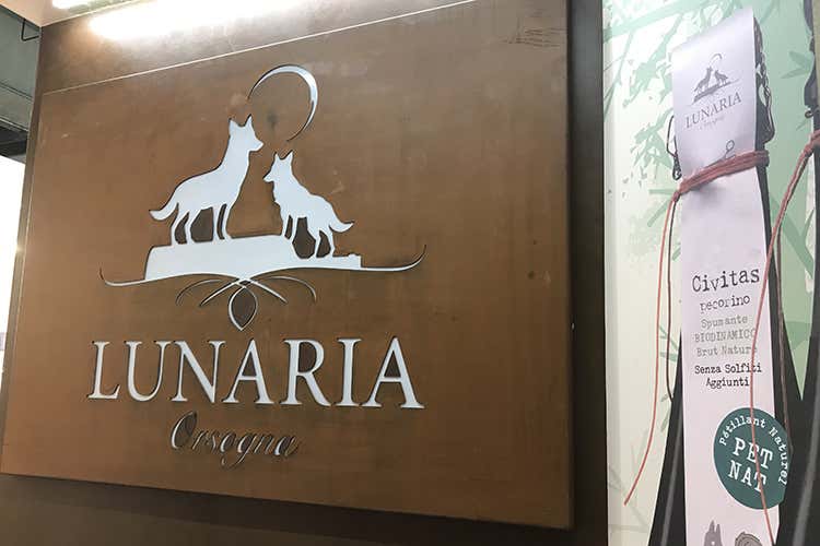 (Spumanti biodinamici e vini onirici I progetti di Cantina Orsogna) (Spumanti biodinamici e vini onirici I progetti di Cantina Orsogna)