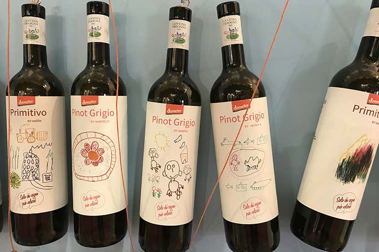 (Spumanti biodinamici e vini onirici I progetti di Cantina Orsogna) (Spumanti biodinamici e vini onirici I progetti di Cantina Orsogna)