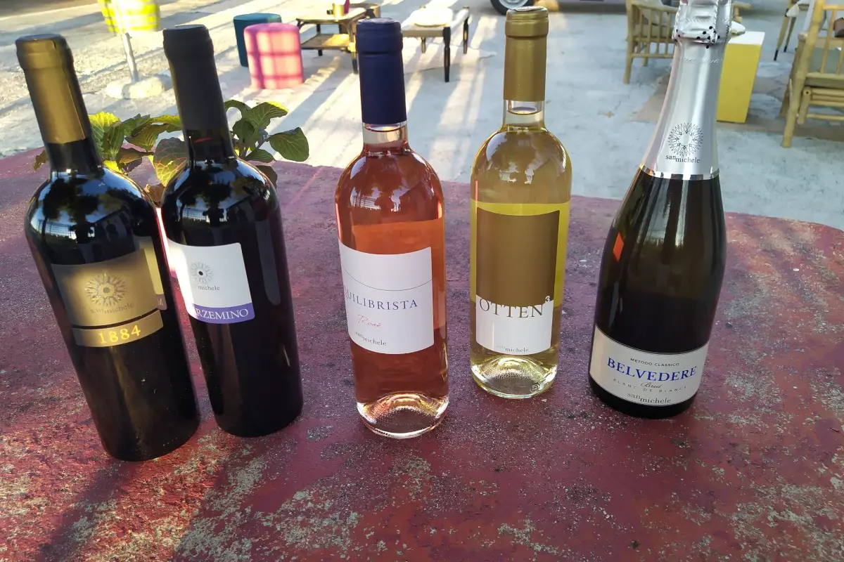 I vini di punta dell'azienda Cantina San Michele, il futuro del vino bresciano in mano a quattro giovani