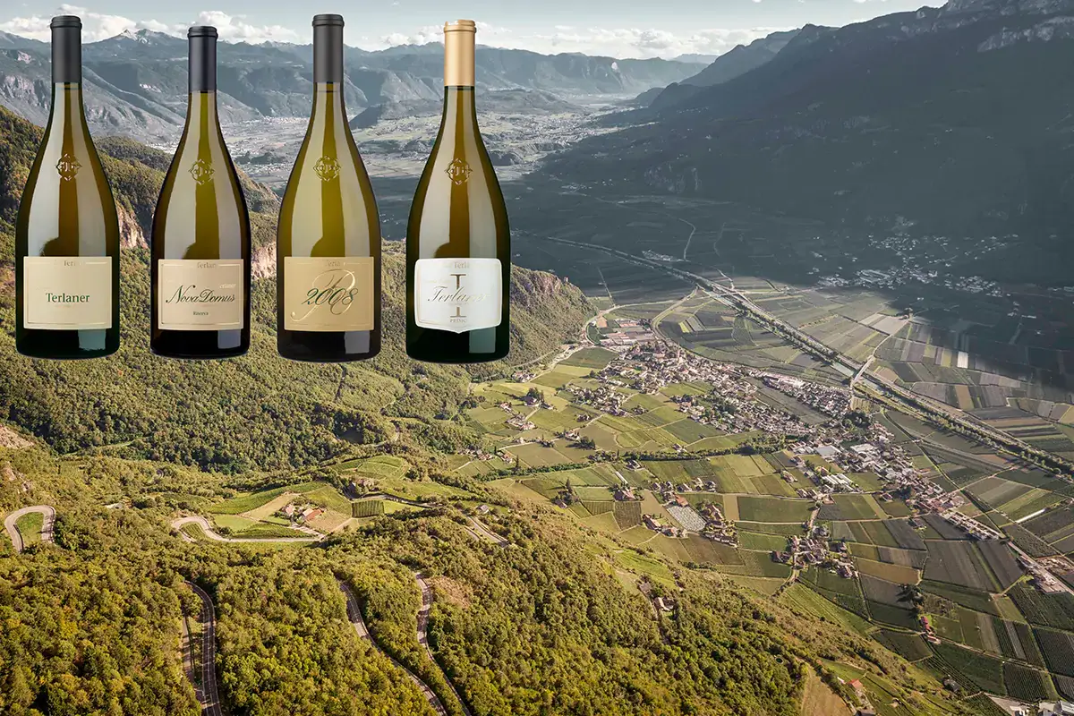 Le nuove quattro declinazioni di Cantina Terlano Quattro etichette per un territorio, Cantina Terlano omaggia lo storico Cuv&eacute;e