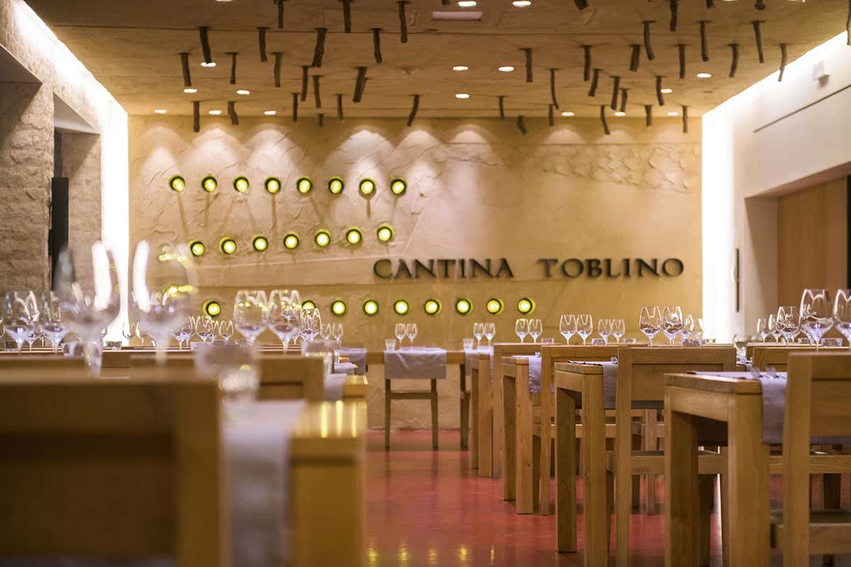 Sala degustazione. La viticoltura sostenibile è un punto fermo Cantina Toblino: l’oro della Valle dei Laghi