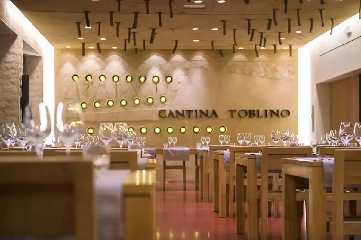Sala degustazione. La viticoltura sostenibile &egrave; un punto fermo Cantina Toblino: l&rsquo;oro della Valle dei Laghi