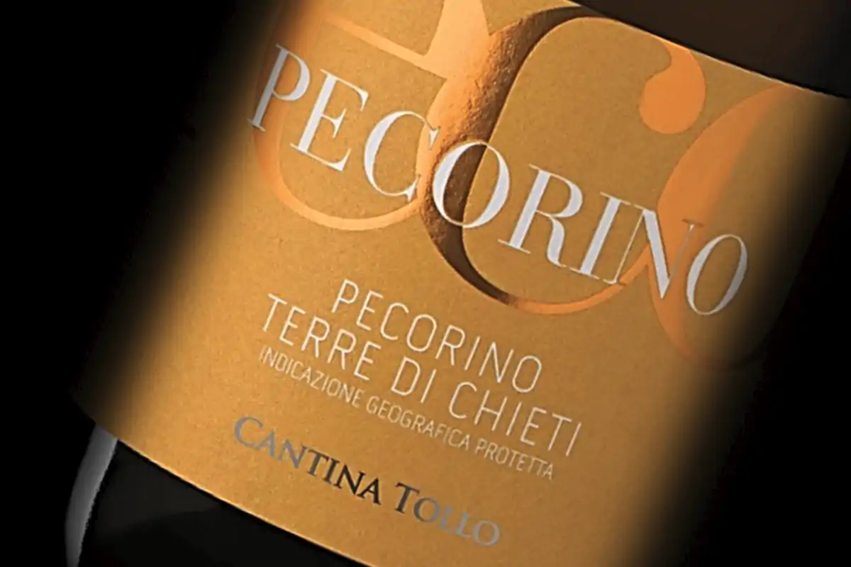 Cantina Tollo, dal 1960 un punto di riferimento per tutto l'Abruzzo Cantina Tollo, da oltre 60 anni vini che raccontano l'Abruzzo