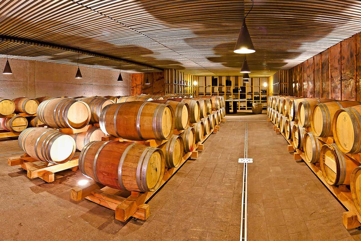 Cantina Tramin Vino: crescita record per Cantina Tramin