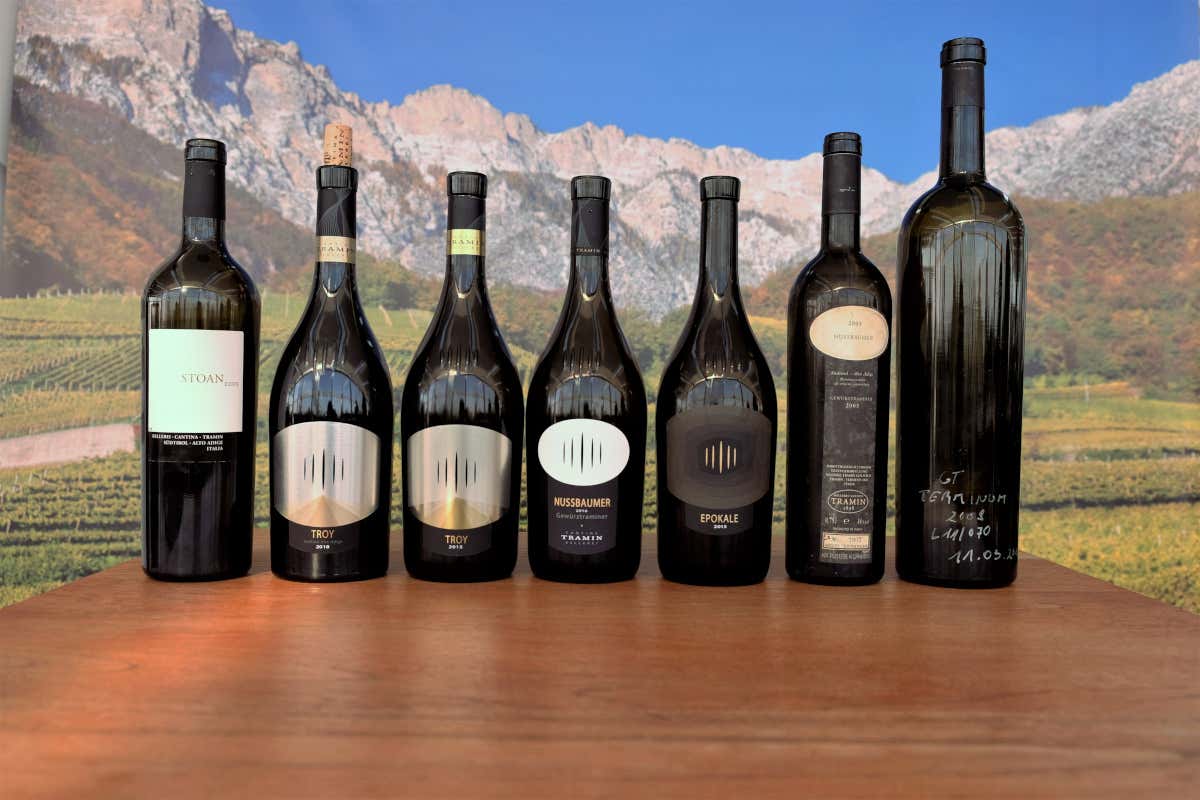 Alcuni vini di cantina Tramin Vino: crescita record per Cantina Tramin