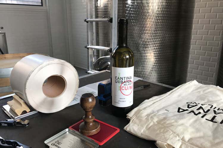 (Cantina Urbana, il vino si produce in città A Milano l'idea di Michele Rimpicida) (Cantina Urbana, il vino si produce in città A Milano l'idea di Michele Rimpicida)