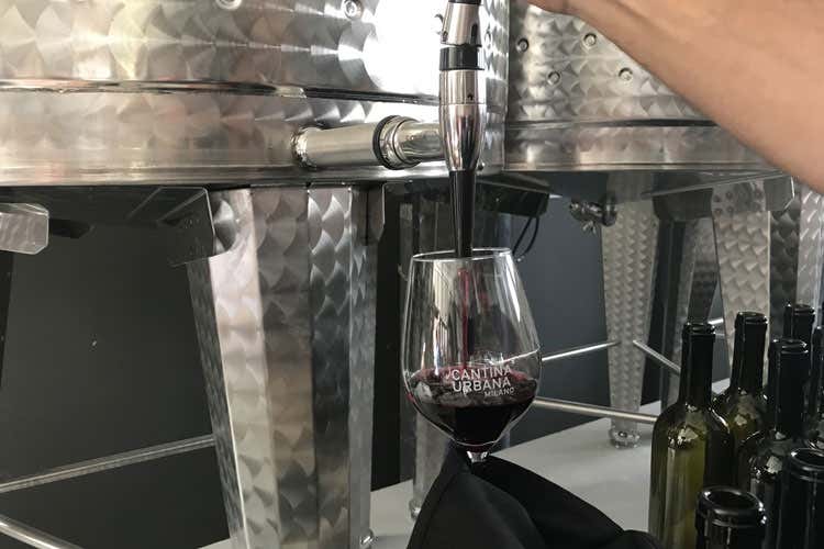 (Cantina Urbana, il vino si produce in città A Milano l'idea di Michele Rimpicida) (Cantina Urbana, il vino si produce in città A Milano l'idea di Michele Rimpicida)
