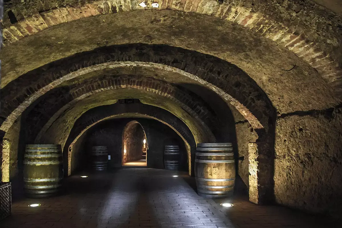 La cantina della casa vinicola pisana Usiglian del Vescovo: vigneti su fondo marino