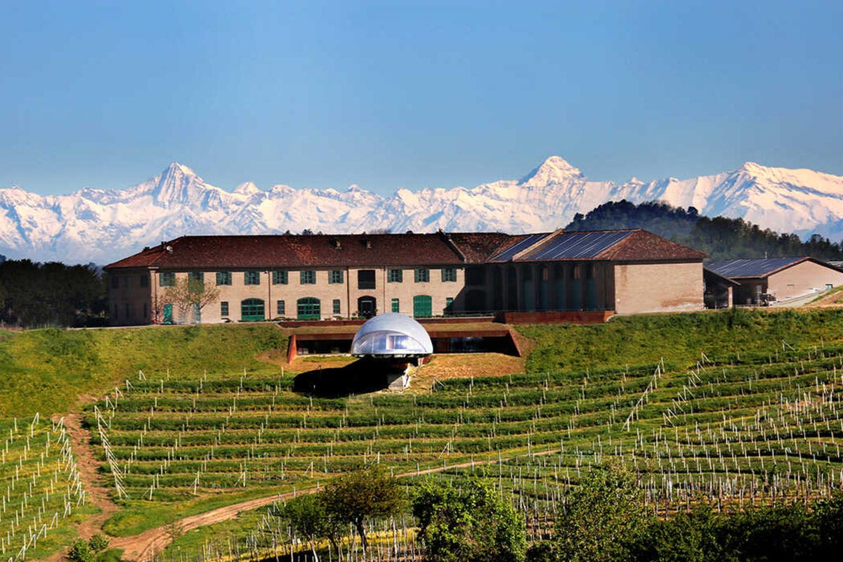 Turismo del vino: l'Italia al primo posto. Seguono Francia e Spagna