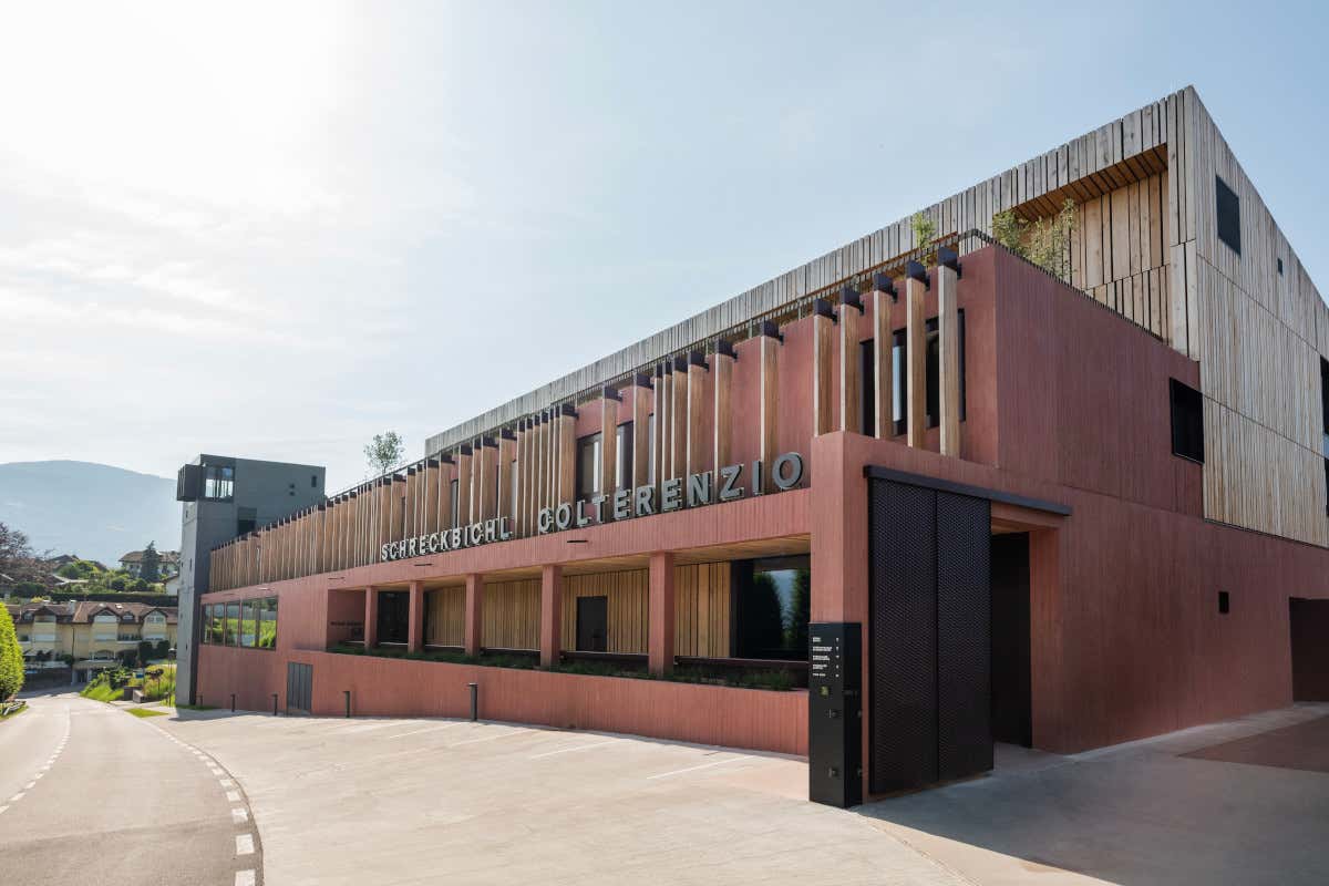 La nuova fase della Cantina Colterenzio, in Alto Adige, dopo il restyling