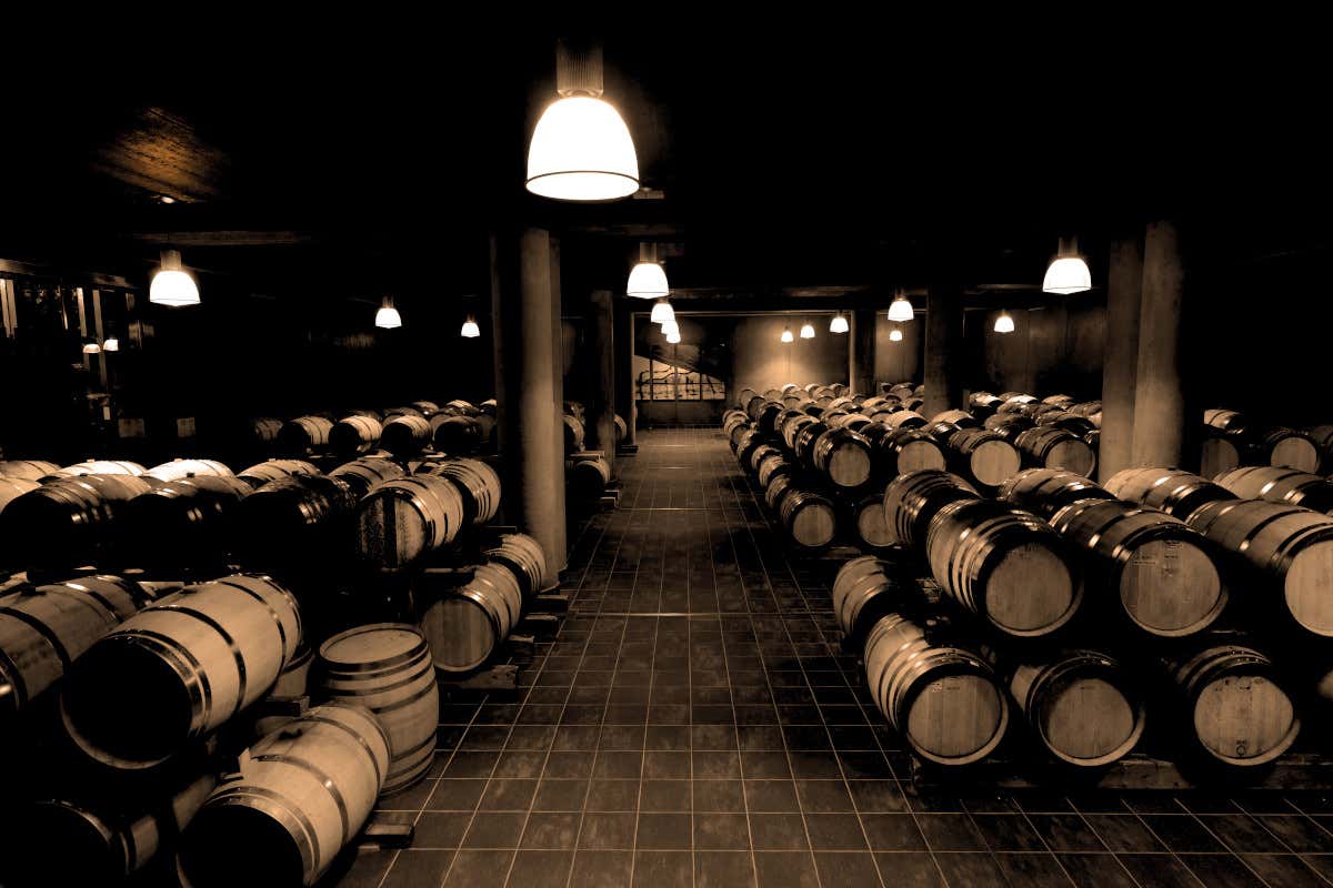 La nuova fase della Cantina Colterenzio, in Alto Adige, dopo il restyling