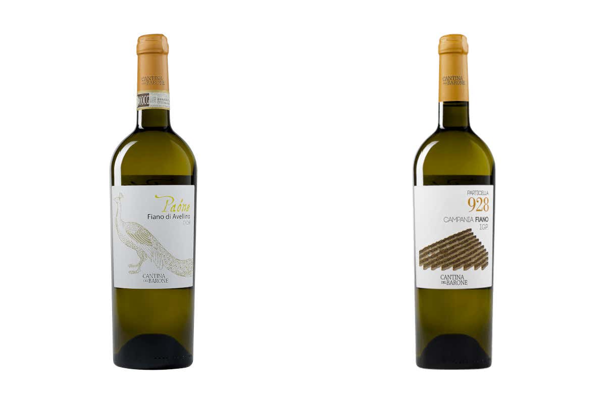 Paone e Particella 928 i due smart buys di Cantina del Barone