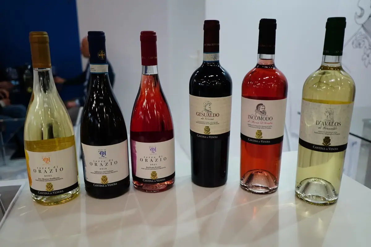 Cantina di Venosa: vini da scoprire ai piedi del monte Vulture