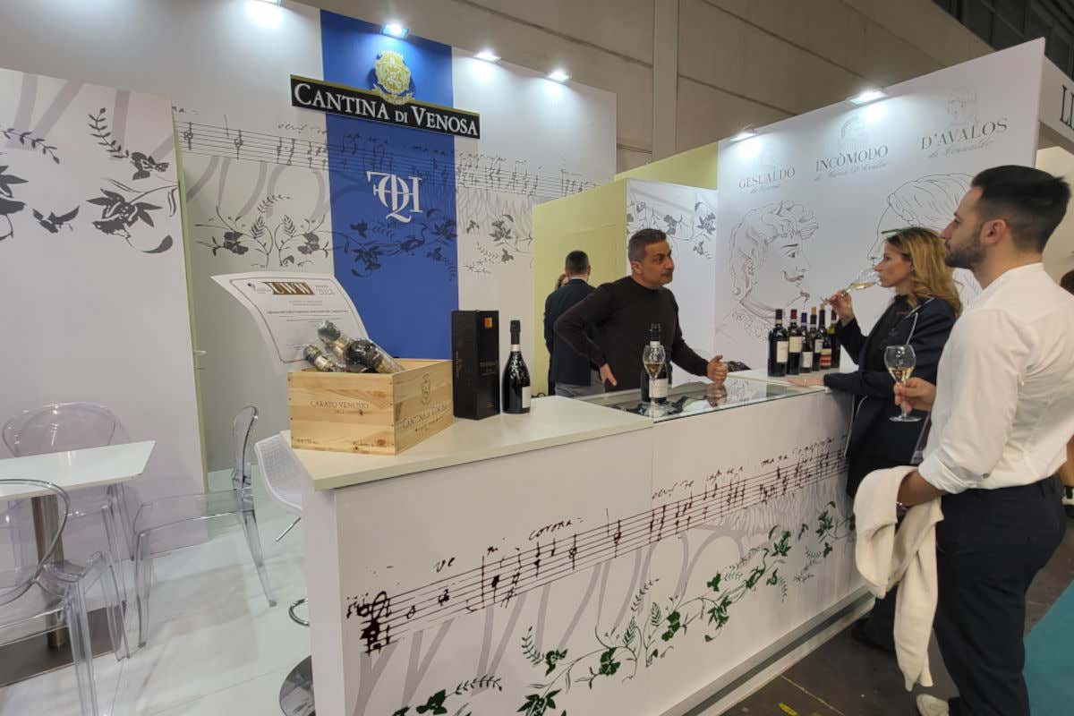 Cantina di Venosa le novità: Carato Venusio affinato negli abissi e Tansillo Rosè