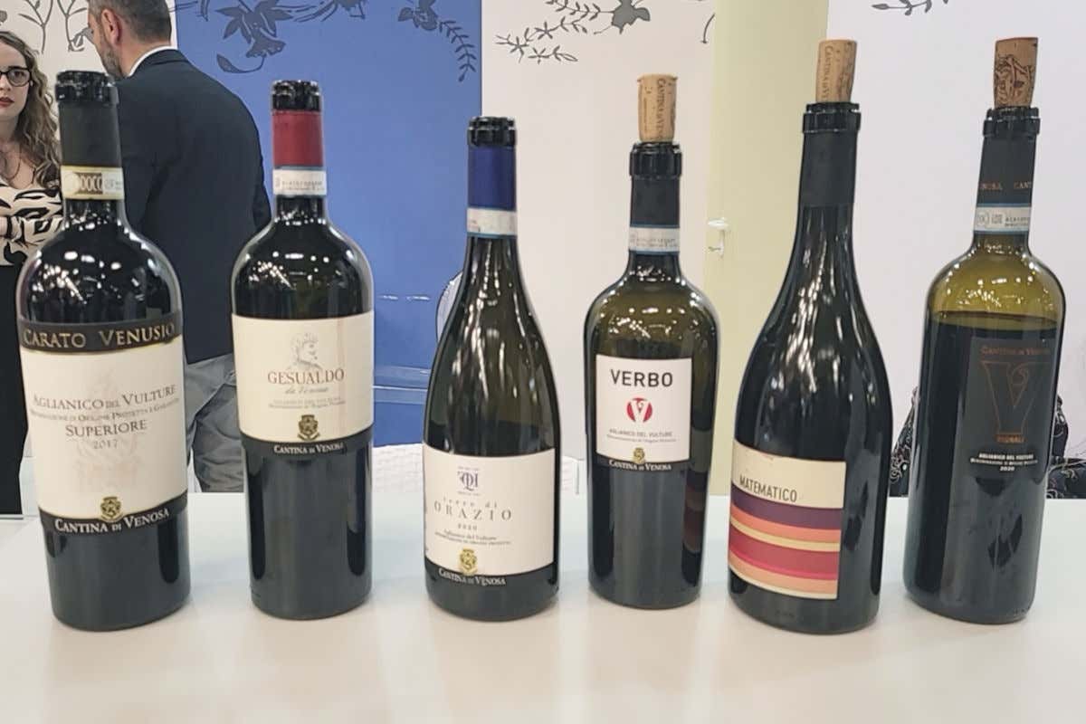 Cantina di Venosa le novità: Carato Venusio affinato negli abissi e Tansillo Rosè