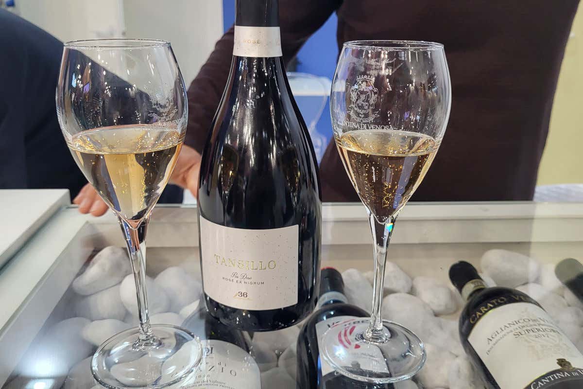 Cantina di Venosa le novità: Carato Venusio affinato negli abissi e Tansillo Rosè