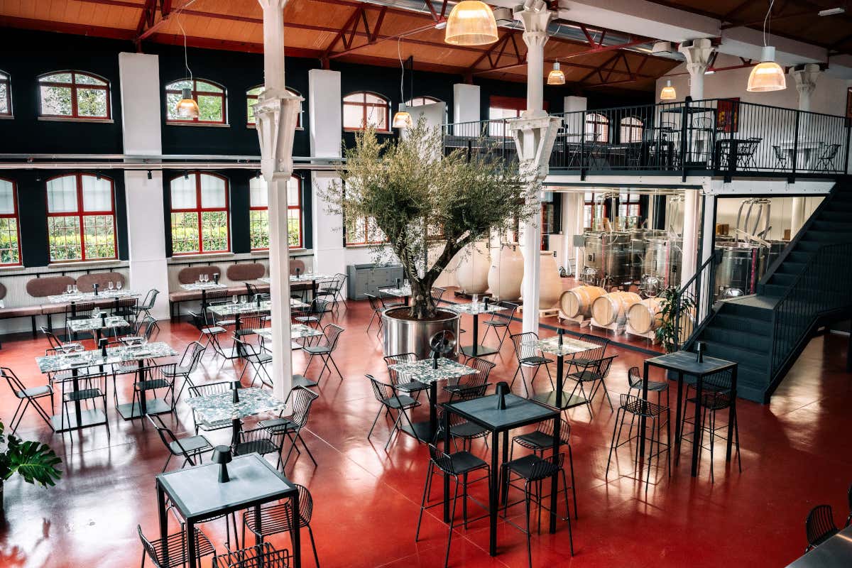 Dalla Fonderia alla winery urbana: a Treviso il vino si produce sotto gli occhi dei clienti Dalla Fonderia alla winery urbana: a Treviso il vino si produce sotto gli occhi dei clienti