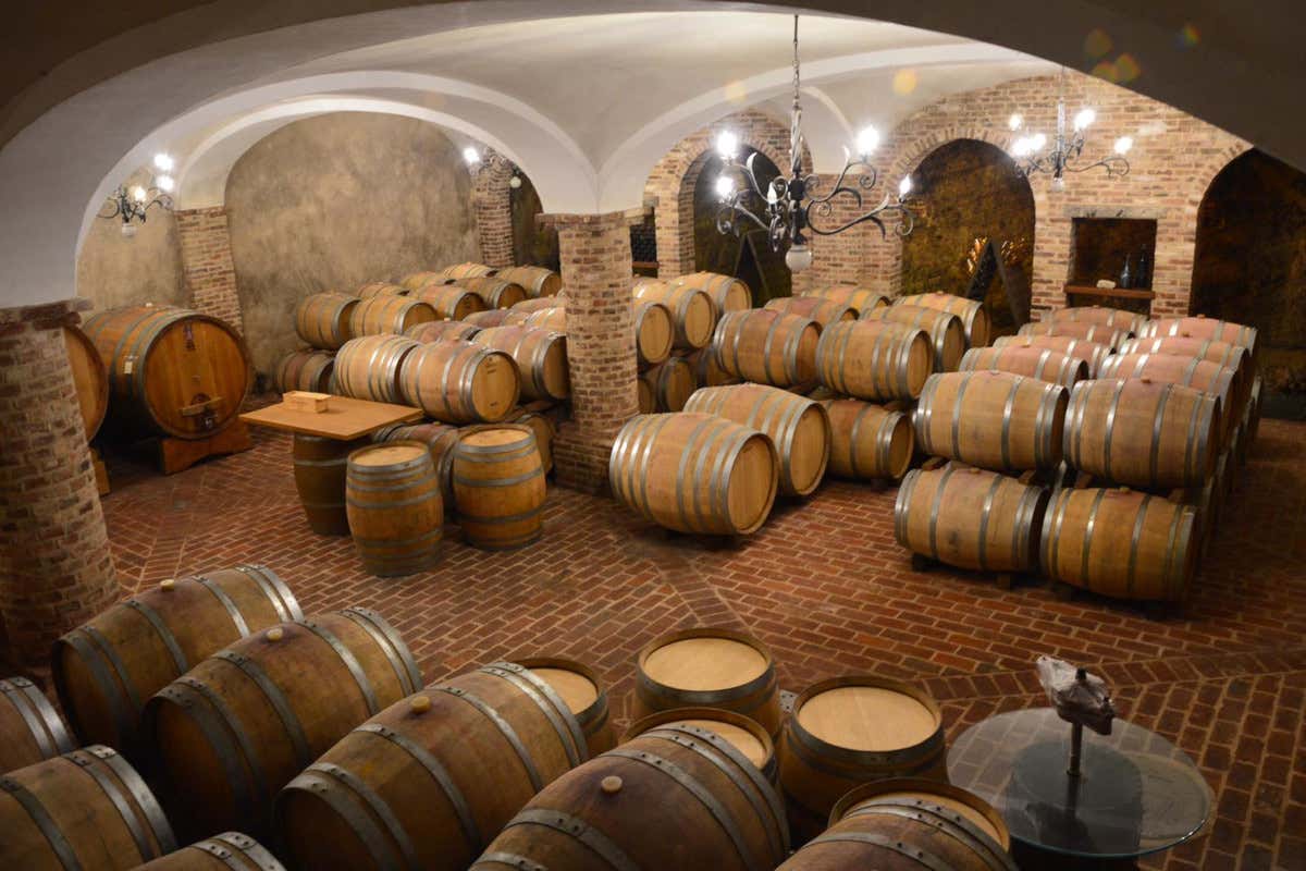 La Torricella: alla scoperta delle Langhe tra cibo, vino e relax con la Winery Spa