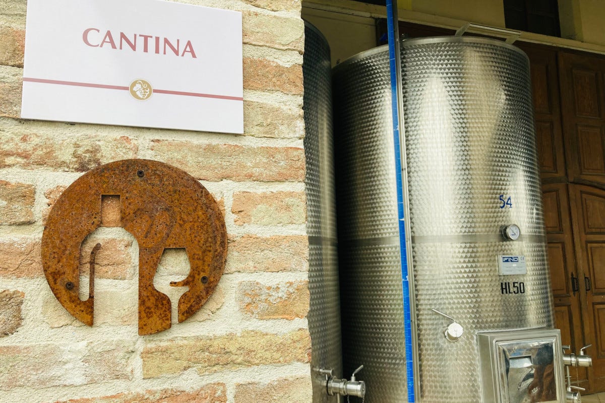 La Torricella: alla scoperta delle Langhe tra cibo, vino e relax con la Winery Spa