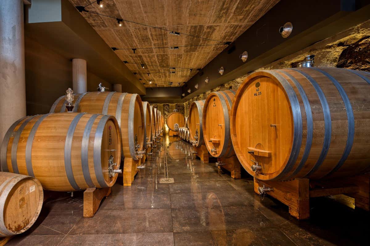 Treiso-Roma andata e ritorno: la cantina Lodali in scena con i vini delle Langhe Treiso-Roma andata e ritorno: la cantina Lodali in scena con i vini delle Langhe