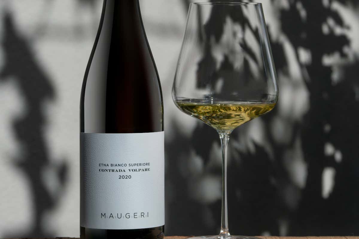 Milo e il regno del Carricante: Cantina Maugeri, il bianchismo etneo che conquista il mondo Milo e il regno del Carricante: Cantina Maugeri, il bianchismo etneo che conquista il mondo