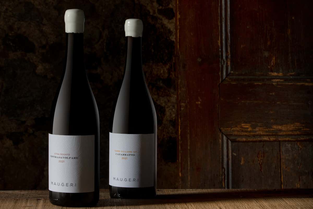 Milo e il regno del Carricante: Cantina Maugeri, il bianchismo etneo che conquista il mondo Milo e il regno del Carricante: Cantina Maugeri, il bianchismo etneo che conquista il mondo