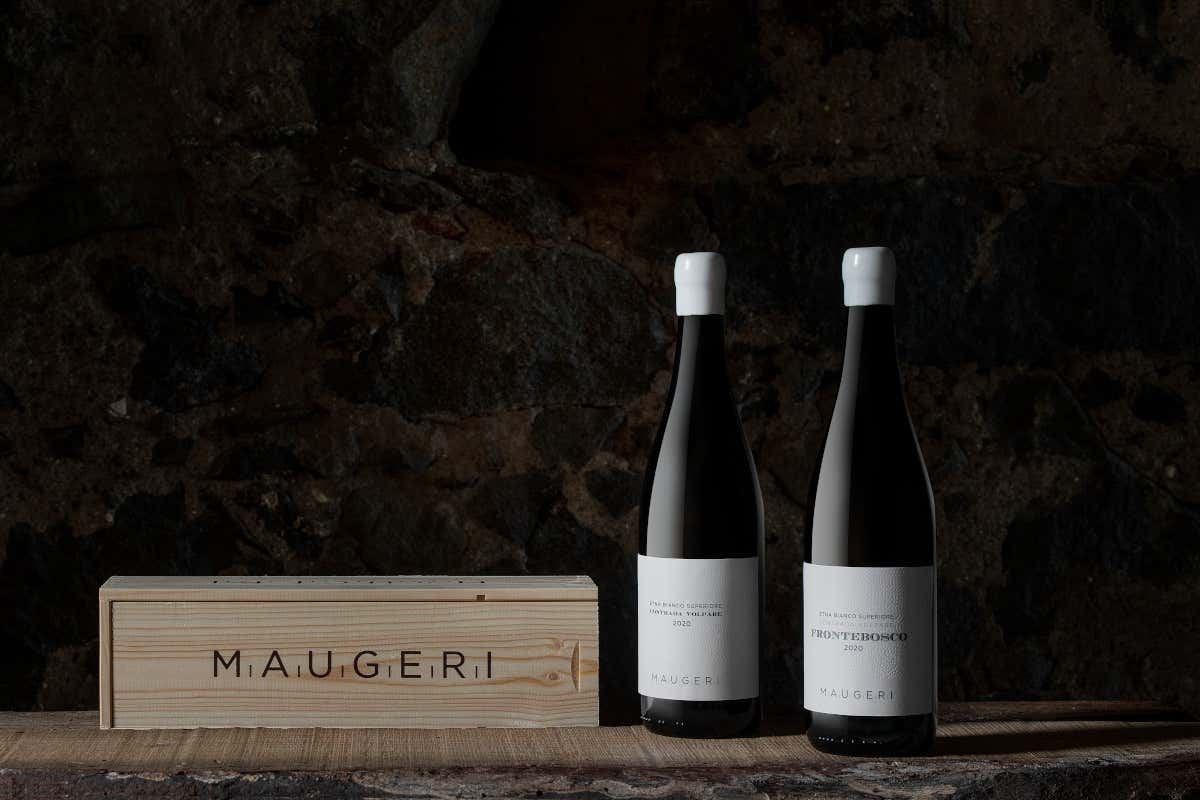 Milo e il regno del Carricante: Cantina Maugeri, il bianchismo etneo che conquista il mondo Milo e il regno del Carricante: Cantina Maugeri, il bianchismo etneo che conquista il mondo