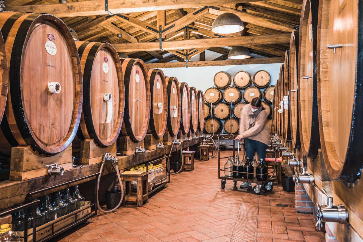 Le botti di Cantina Sant'Andrea Weekend del 25 Aprile a Roma: ecco dove mangiare