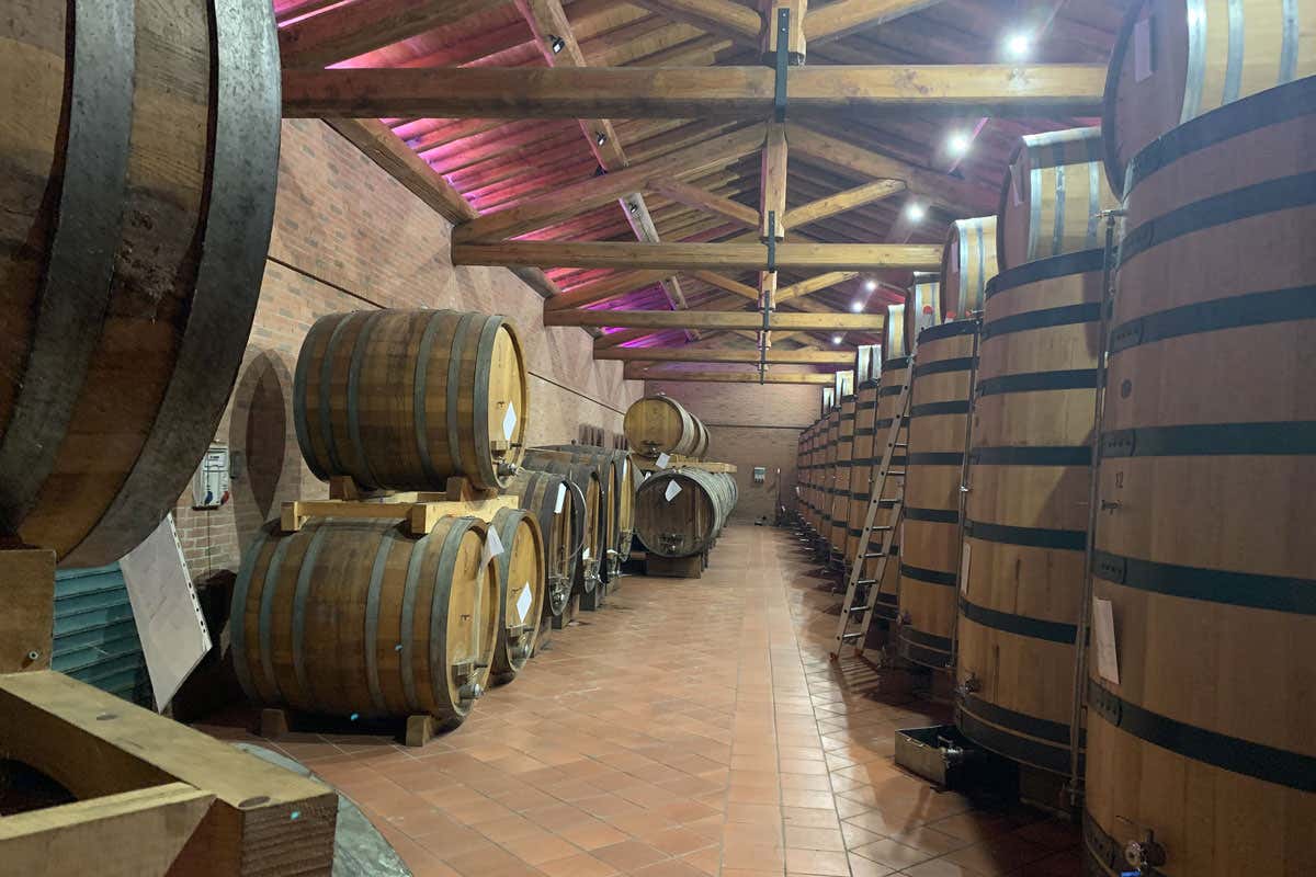 Berta: il nuovo museo multimediale racconta tre generazioni di grappa