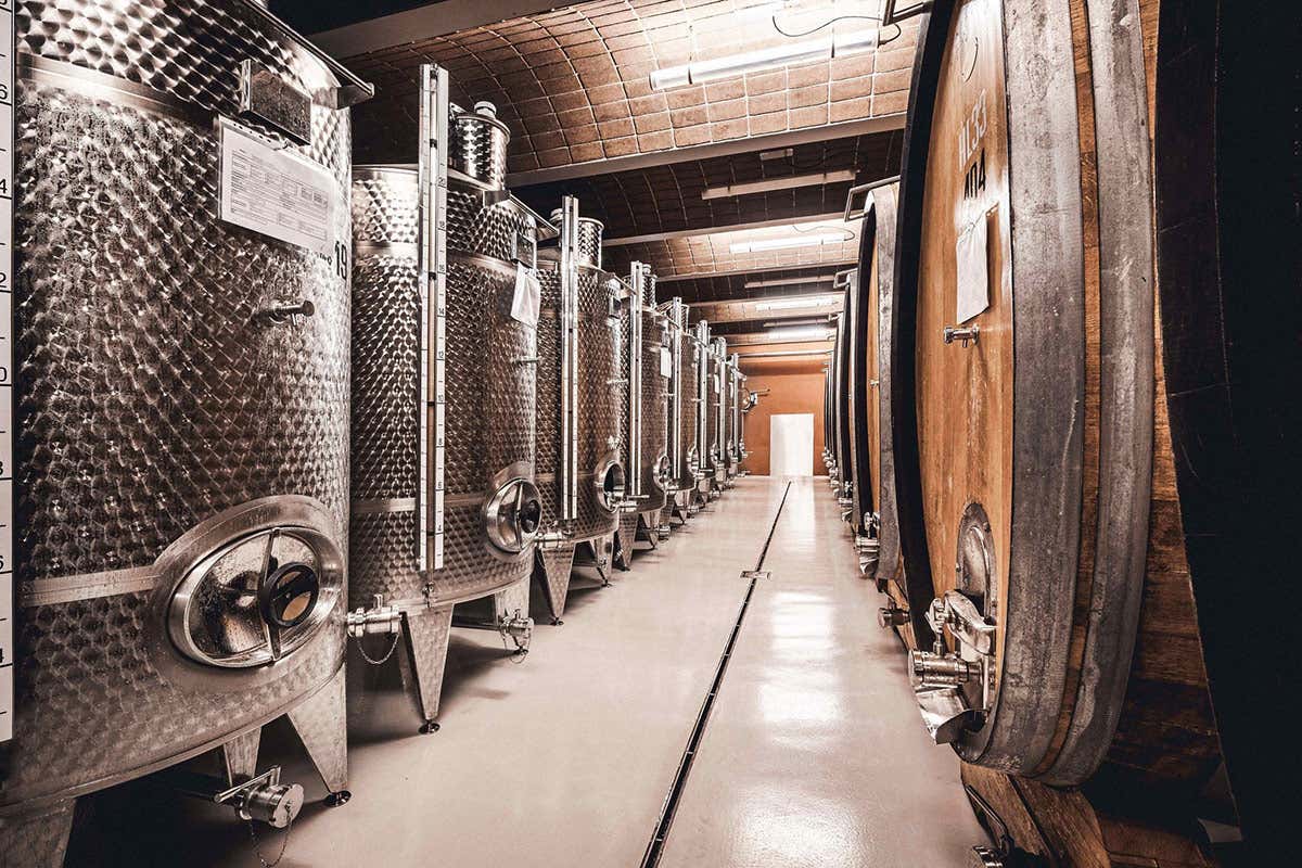 Un'immagine della Cantina Valle Isarco