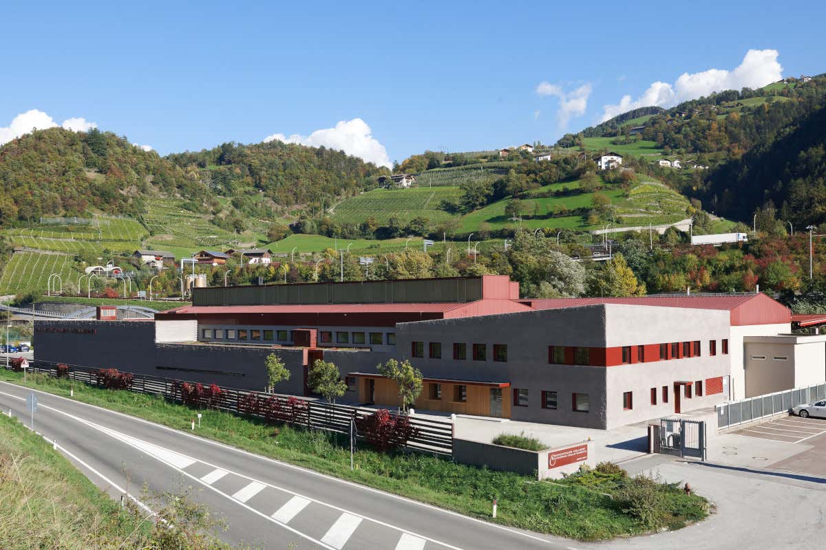 Cantina Valle Isarco, dove il vino (bianco) incontra la montagna Cantina Valle Isarco, dove il vino (bianco) incontra la montagna