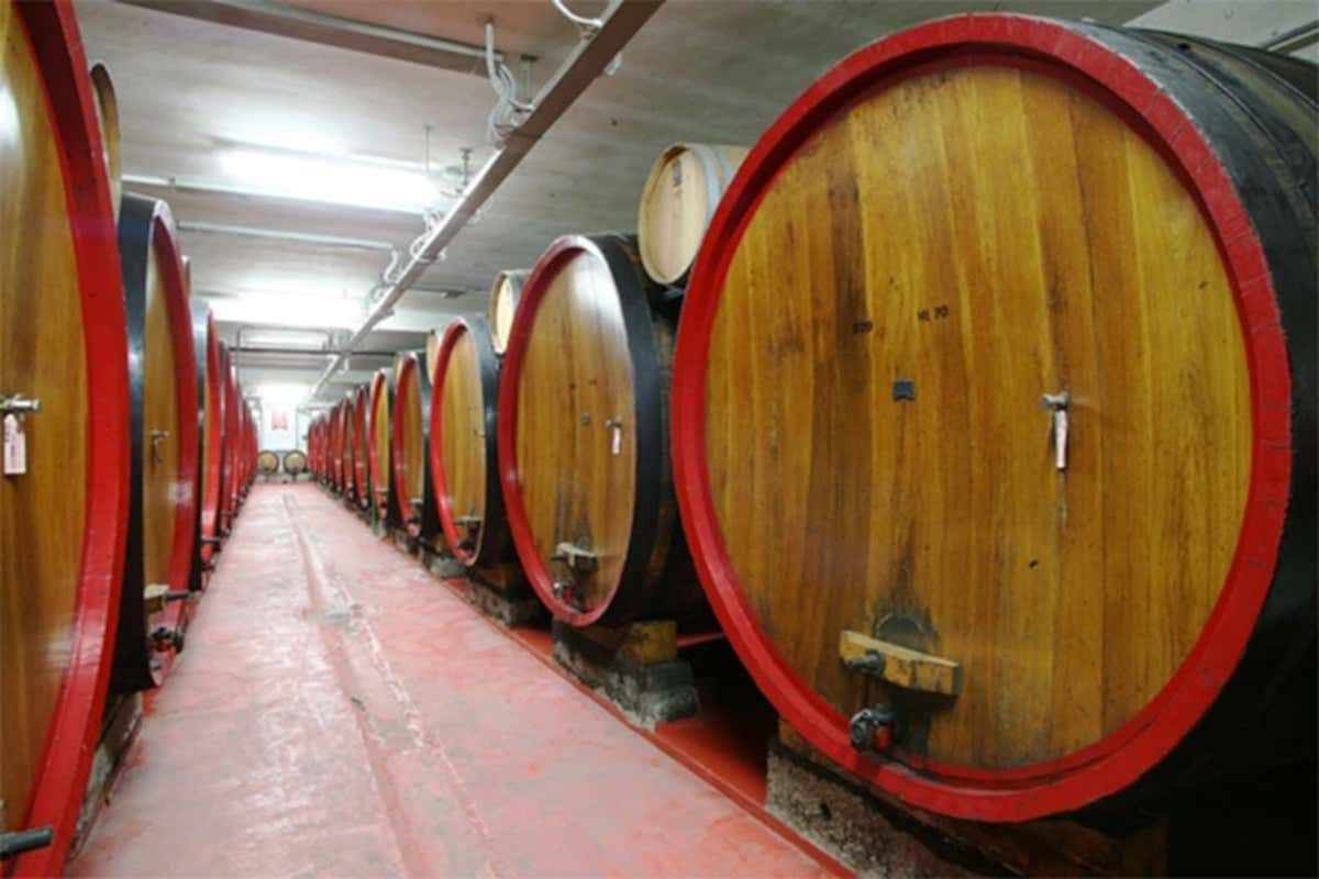 Alla scoperta della Cantina dei vini tipici dell'Aretino tra storia e degustazioni