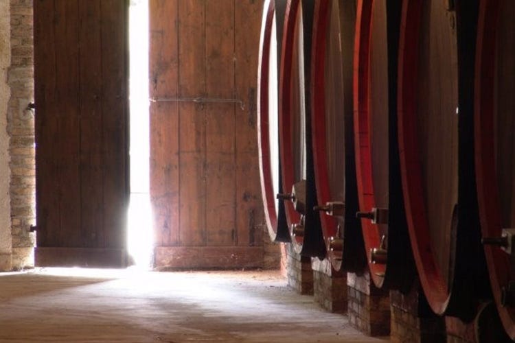 Cantine aperte nelle principali città del vino (Cantine Aperte a San Martino Degustazioni in tutta Italia)
