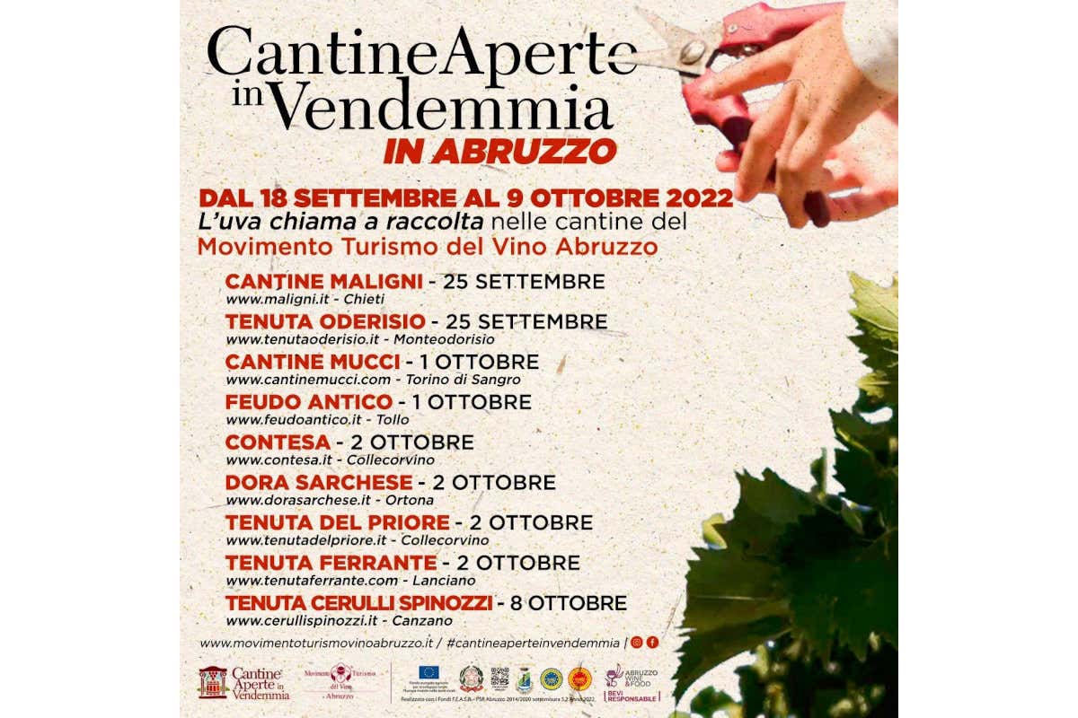 Cantine Aperte in Vendemmia entra nel vivo in Abruzzo