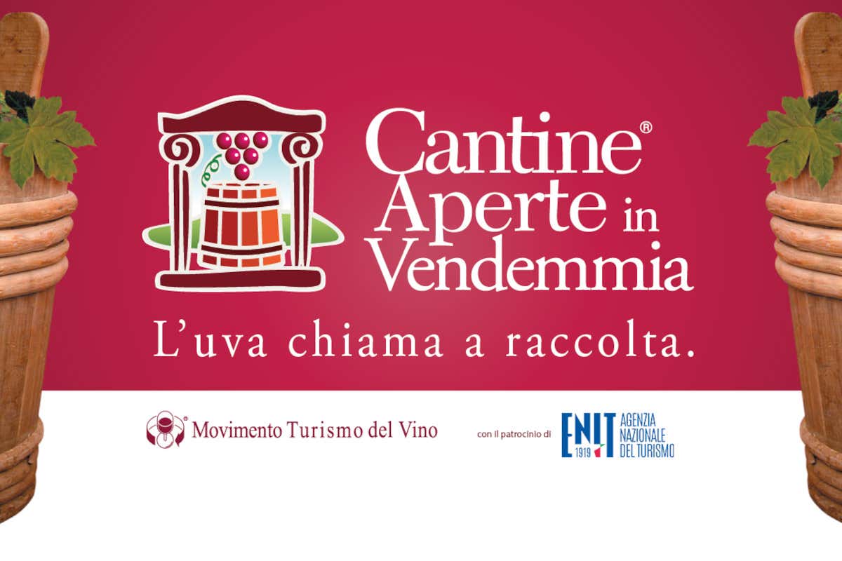 Cantine Aperte in Vendemmia, un fitto calendario di eventi per amanti del vino