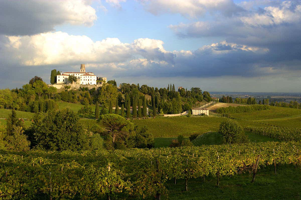 Il Prosecco Ottaviano esalta i sapori del Risotto della Principessa