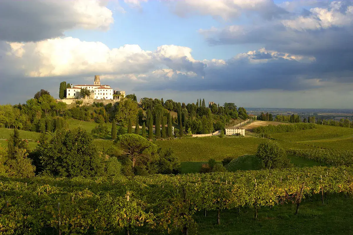 Il Prosecco Ottaviano esalta i sapori del Risotto della Principessa