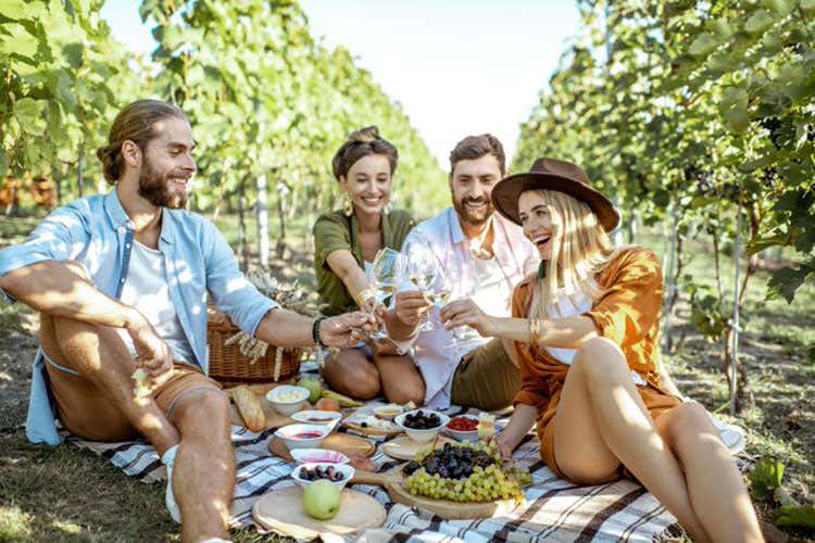 Picnic tra le vigne, una novit&agrave; di quest'anno - Cantine aperte in vendemmia Visite guidate e picnic tra i filari