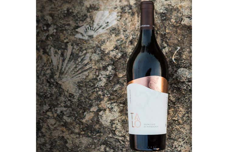 (Cantine San Marzano, nuova etichetta per la linea tradizionale Tal&ograve;)