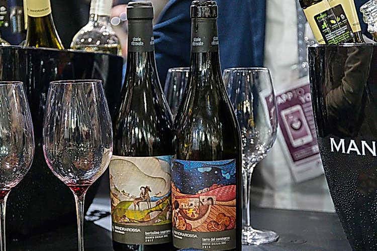 (Le cantine siciliane si riscoprono dopo la vetrina di Vinitaly)