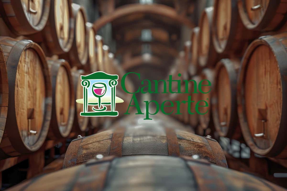 Cantine Aperte 2024: due giorni di festa all'insegna di vino ed enogastronomia Cantine Aperte 2024: due giorni di festa all'insegna di vino ed enogastronomia