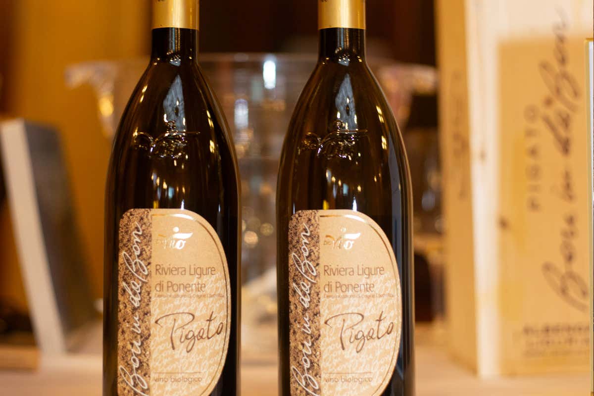 CantineDOC, la guida che ci fa scoprire le cantine liguri e chi ci sta dietro