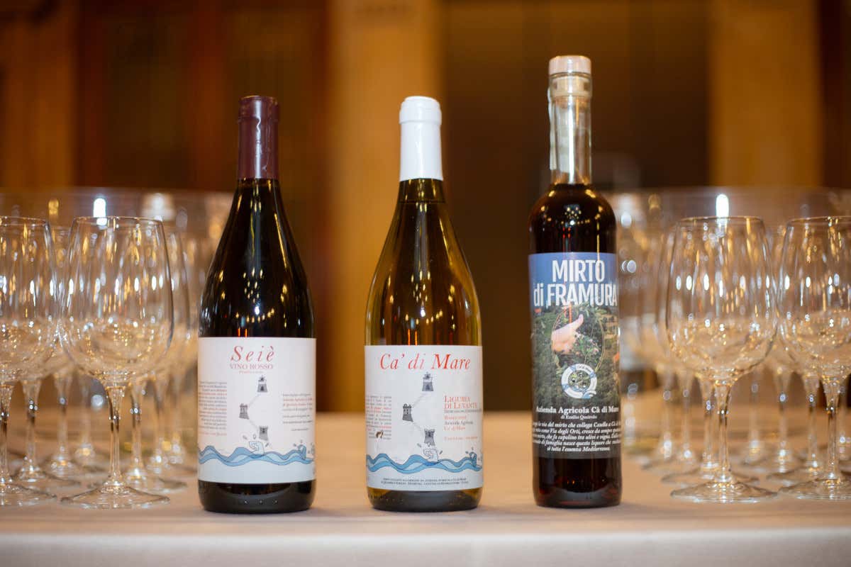 CantineDOC, la guida che ci fa scoprire le cantine liguri e chi ci sta dietro