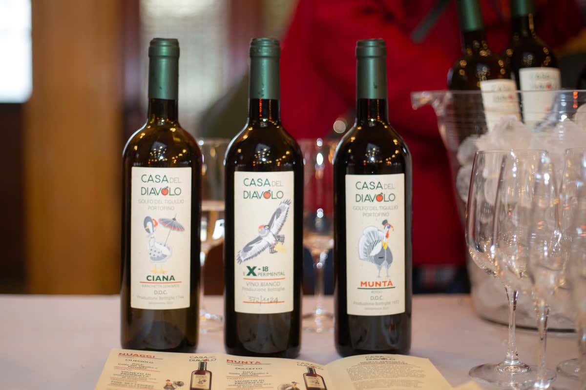 CantineDOC, la guida che ci fa scoprire le cantine liguri e chi ci sta dietro